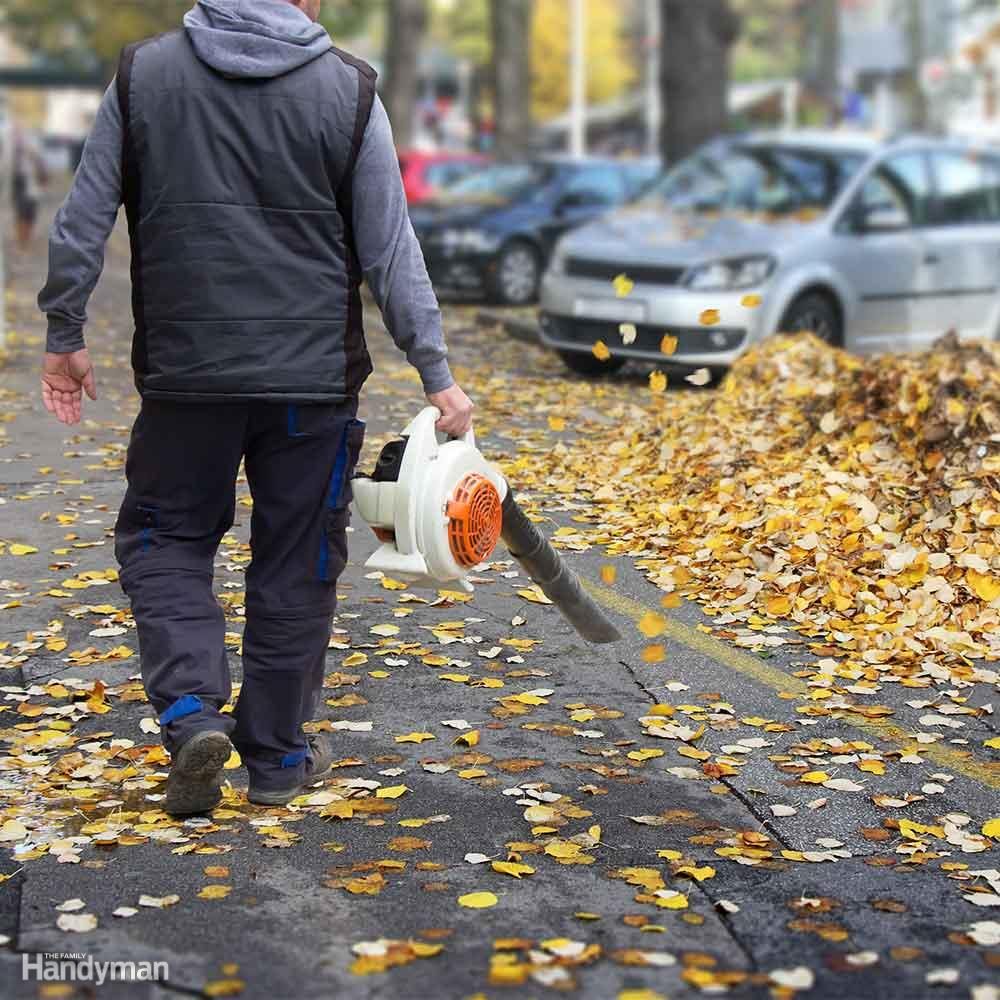 Take Care of Those Leaves