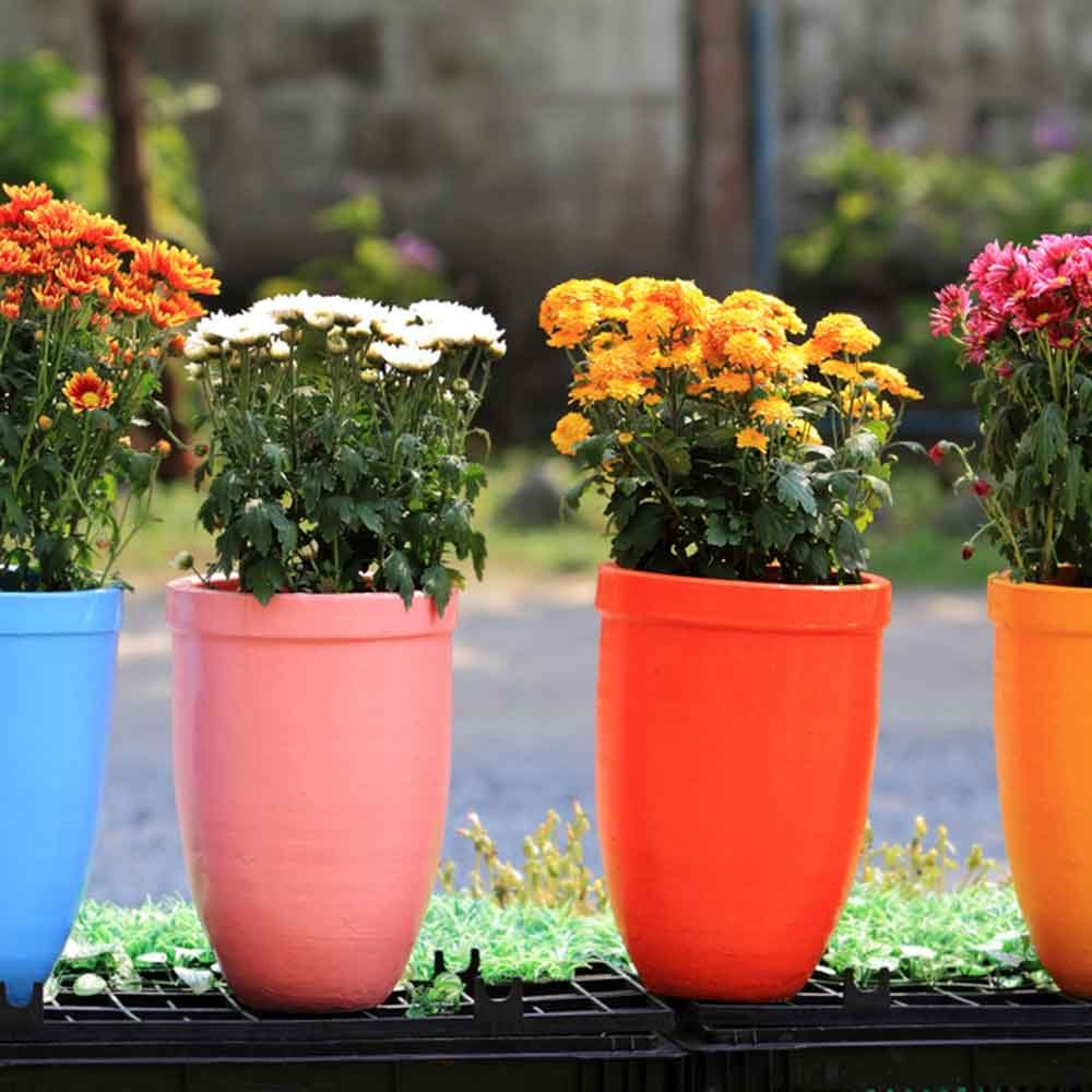 Empty Pots and Planters