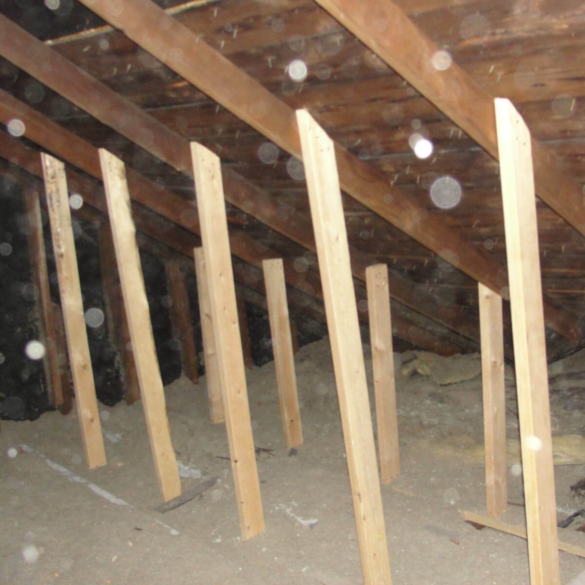 Roof Support?