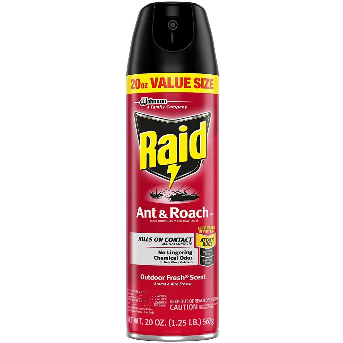 A red aerosol can labeled "Raid Ant & Roach" stands upright. It's designed to kill insects on contact, with an outdoor fresh scent.