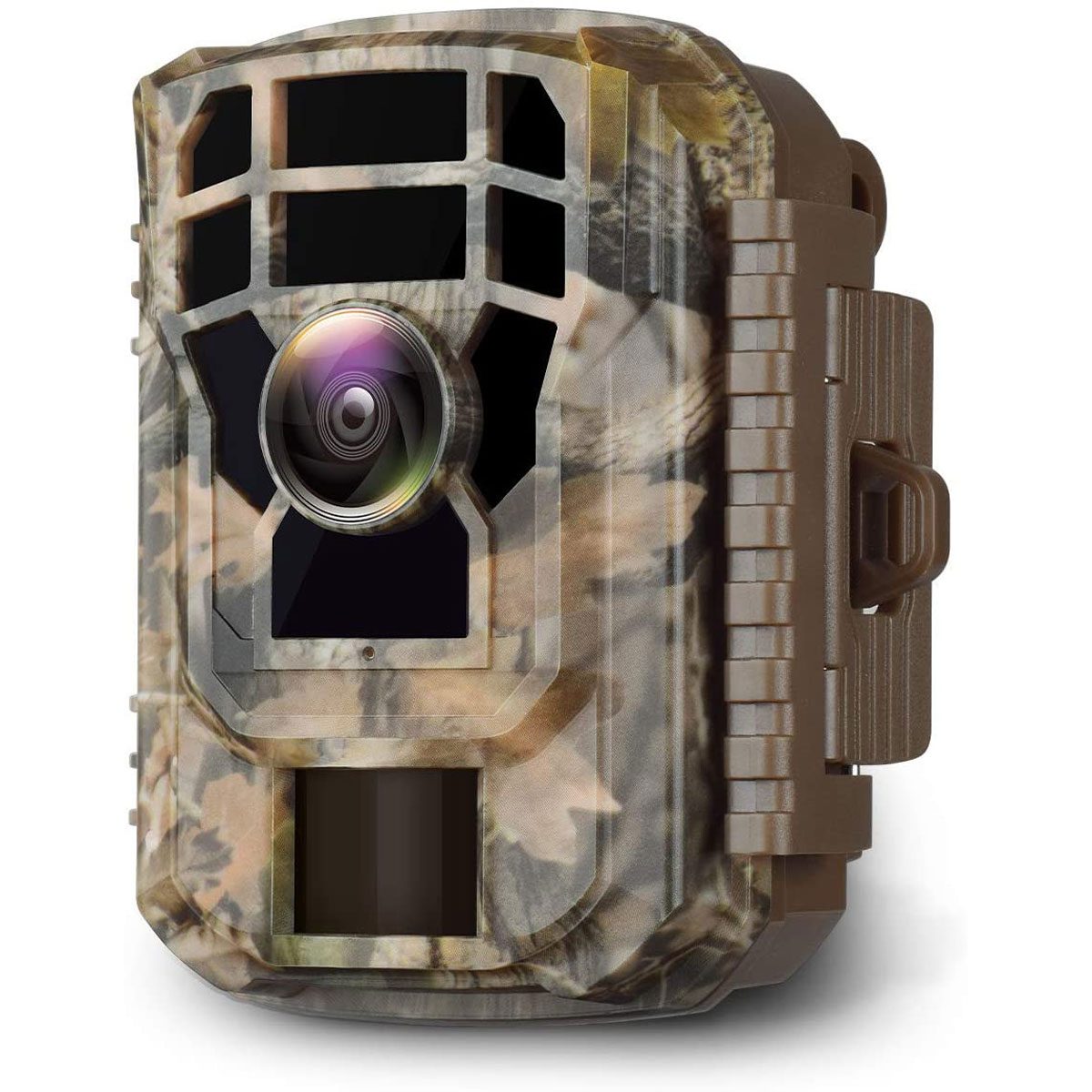 Bird Camera