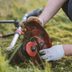Weed Wacker String Sizes: Which Gauge Line Should You Use?