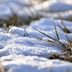 A Guide to Reviving Your Lawn After Winter