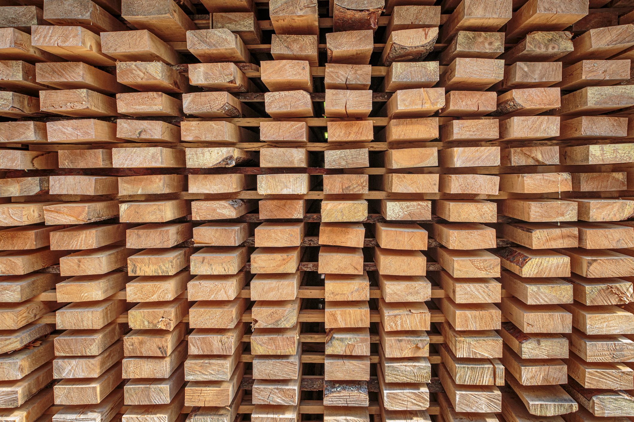 How To Dry Wood for Woodworking Projects – Expert Tips