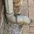 Types of Basement Floor Drains and Their Best Uses