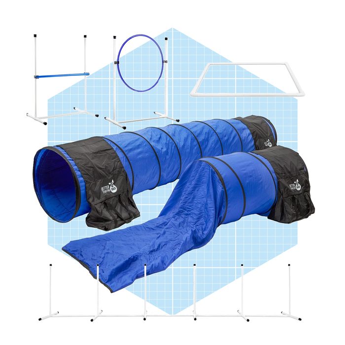 Better Sporting Dogs Seven-Piece Deluxe Dog Agility Equipment Set