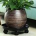 Why Plant Caddies Are Essential for Houseplant Lovers