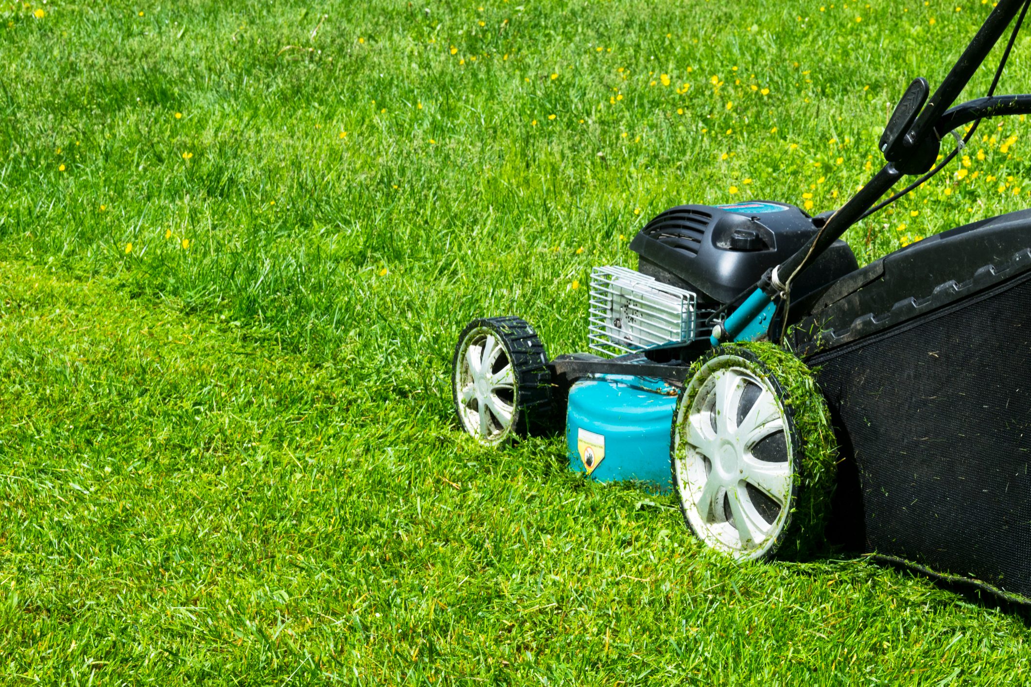 Mowing lawns. Lawn mower on green grass. mower grass equipment. mowing gardener care work tool close up view sunny day