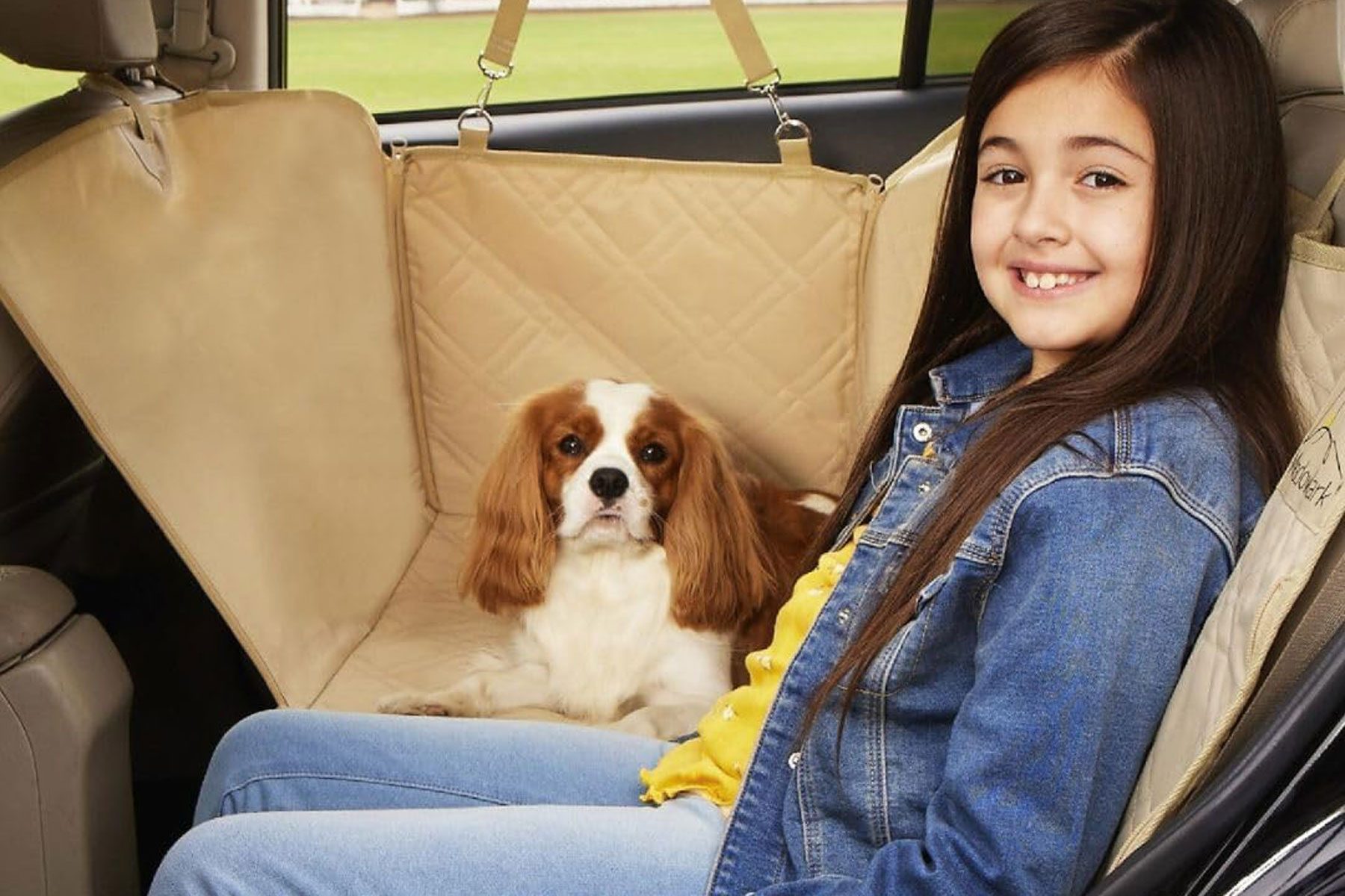 9 Best Dog Car Seat Covers for Easier Cleaning