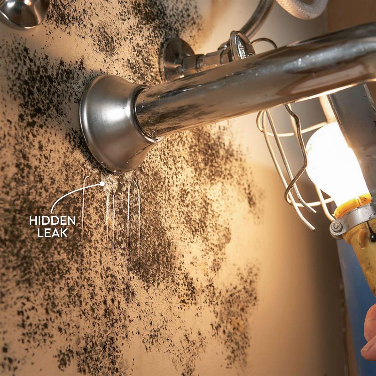 10 Tips For Removing Mold And Mildew 