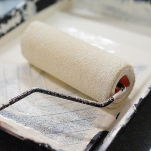 Paint roller Paint
