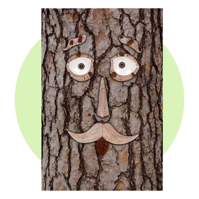Hilarious Outdoor Garden And Tree Whimsical Face Decoration Via Homedepot.com