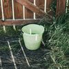Faded Green Bucket sitting on Wooden Decking in Sunbeams