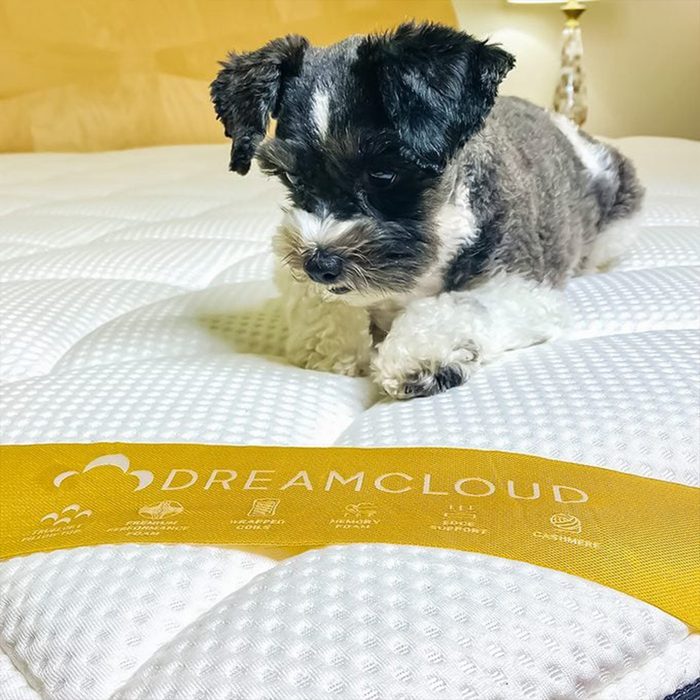 Dreamcloud Mattress Jill Schildhouse For Family Handyman 02