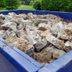 How To Get Rid of Concrete